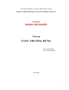 Tăng trưởng rừng