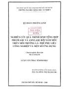 Nghiên cứu quá trình sinh tổng hợp protease và amylase bởi nấm mốc trên môi trường là phế phụ liệu công nghiệp và một số ứng dụng