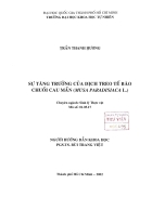 Sự tăng trưởng của dịch treo tế bào chuối cau mẵn musa paradisiaca l