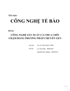 Công nghệ sản xuất cà chua chín chậm bằng phương pháp chuyển gen