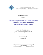 Nghiên cứu một số yếu tố ảnh hưởng đến chất lượng nước mắm rươi sau quá trình thủy phân