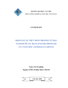 Khảo sát sự thủy phân protein từ đậu nành dưới tác dụng enzyme protease của nấm mốc aspergillus oryzae