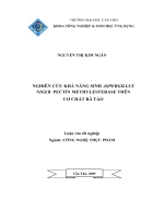 Nghiên cứu khả năng sinh Aspergillus niger pectinmethylesterase trên cơ chất bã táo