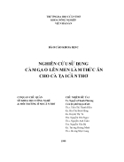 Nghiên cứu sử dụng cám gạo lên men làm thức ăn cho cá tại Cần Thơ