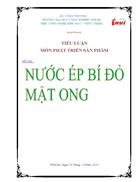 Nghiên cứu sản xuất và phát triển sản phẩm nước ép bí đỏ có bổ sung mật ong