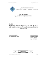 Khảo sát ảnh hưởng của các yếu tố xử lý đến chất lượng màng gấc cho quá trình trích dầu