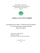 Xác định gen gây độc và tính đa dạng di truyền của nấm Metarrhizium anisopliae ký sinh trên côn trùng