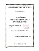 Sự hấp phụ trinitrophenol trên hydrotalcite