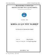 Phân tích tài chính và một số giải pháp cải thiện tình hình tài chính tại công ty Cổ phần Bê tông và xây dựng Hải Phòng