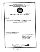 Phân tích tình hình tài chính công ty gạch ngói Nhị Hiệp