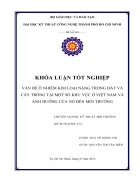 Vấn đề ô nhiễm kim loại nặng trong đất và cây trồng tại một số khu vực ở Việt Nam và ảnh hưởng của nó đến môi trường