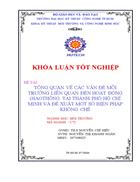 Tổng quan về các vấn đề môi trường liên quan đến hoạt động giao thông tại Thành phố Hồ Chí Minh và đề xuất một số biện pháp khống chế