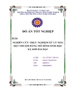 Nghiên cứu thực nghiệm xử lý màu dệt nhuộm bằng mô hình sinh học kỵ khí 2 bậc