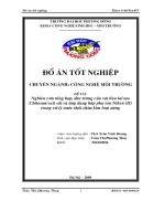 Nghiên cứu tổng hợp đặc trưng của vật liệu lai tạo Chitosan oxit sắt và ứng dụng hấp phụ ion Niken II trong xử lử lý nước thải chứa kim loại nặng