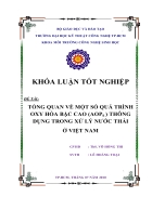 Tổng quan về một số quá trình oxy hóa bậc cao AOPs trong xử lý nước thải tại Việt Nam