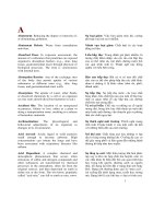 Từ điển môi trường