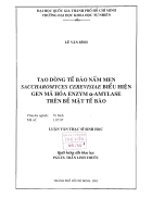 Tạo dòng tế bào nấm men saccharomyces cerevisiae biểu hiện gen mã hóa enzym amylase trên bề mặt tế bào