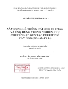 Xây dựng hệ thống tái sinh in vitro và ứng dụng trong nghiên cứu chuyển nạp gen tạo ferritin ở cây ngô zea mays l