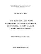 Khảo sát tần suất thai nhi bị hội chứng down theo các phương pháp chẩn đoán trong thai kỳ tại bệnh viện từ dũ