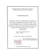 Nghiên cứu quy trình tách chiết và xác định morphine trong nước tiểu người nghiện ma túy đồng thời đánh giá khả năng đào thải theo thời gian bằng phương pháp sắc ký lỏng khối phổ