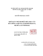Khảo sát thành phần hóa học cây bứa đồng garcinia schomburgkiana họ bứa guttiferae