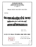 Ứng dụng hóa lượng tử và tin học khảo sát các chất khử ức chế enzym dihydropolate