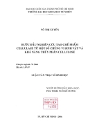 Bước đầu nghiên cứu tạo chế phẩm cellulase từ một số chủng vi sinh vật và khả năng thủy phân cellulose