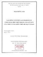 Tạo dòng nấm men saccharomyces cerevisuae biểu hiện kháng nguyên hna của virus cúm a h5n1 trên bề mặt tế bào