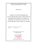 Nghiên cứu sự phát sinh hình thái của cây hồ tiêu Piper nigrum L bằng nuôi cấy lớp mỏng tế bào mảnh lá và nghiên cứu ảnh hưởng của một số yếu tố vật lý lên sự sinh trưởng và phát triển c