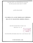 Tác động của auxin trong quá trình ra hoa của cây mai dương mimosa pigra l