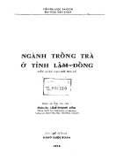 Ngành trồng trà ở tỉnh lâm đồng