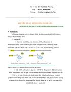 Phương pháp xác định trình tự axit nucleic bằng phương pháp của sanger