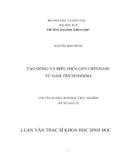 Tạo dòng và biểu hiện gen chitinase từ nấm trichoderma