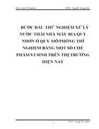 Buoc dau thu nghiem xu ly nuoc thai nha may bia quy nhon o quy mo phong thi nghiem bang mot so che pham vi sinh tren thi truong hien nay