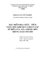 Đặc điểm địa chất tiềm năng dầu khí mỏ cá heo và sư tử biển của lô a thuộc bồn trũng nam côn sơn