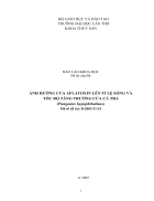 Ảnh hưởng của Aflatoxin lên tỉ lệ sống và tốc độ tăng trưởng cá tra Pangasius hypophthalmus