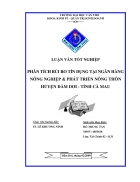 Phân tích rủi ro Tín dụng tại ngân hàng Nông nghiệp Phát triển nông thôn NHNo PTNT huyện đầm Dơi tỉnh Cà Mau