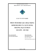 Phân tích hiệu quả hoạt động kinh doanh của ngân hàng thương mại cổ phần Sài Gòn