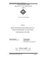 Phân tích khả năng sinh lợi của ngân hàng quốc tế việt nam chi nhánh cần thơ