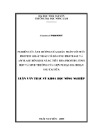 Nghien cuu anh huong cua khau phan voi muc P khac nhau co bo sung PROTEASE va AMYLASE den kha nang tieu hoa P tinh bot va sinh truong cua lon ngoai giai doan sau cai sua