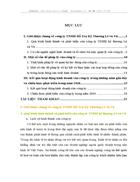 Báo cáo tổng hợp tại công ty công ty TNHH Hỗ Trợ Kỹ Thương Lê và Vũ