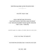 Hạn chế rủi ro tín dụng tại ngân hàng thương mại cổ phần các doanh nghiệp ngoài quốc doanh việt nam vpbank