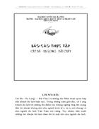 Khảo sát thực tế Cát Bà Hạ Long Bãi Cháy