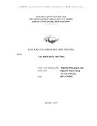 Tai biến môi trường