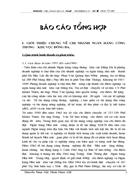 Báo cáo tổng hợp