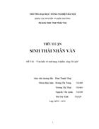 Tìm hiểu về tình trạng ô nhiễm sông Tô Lịch