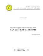 Sản xuất khô cá trê phi