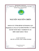 KHAO SAT TINH HINH NUOI RONG SUN Kappaphycus alvarezii TAI KHANH HOA VA TIEN HANH NUOI THUC NGHIEM O CAC DIEU KIEN KHAC NHAU