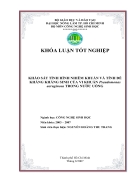 Khảo sát tình hình nhiễm khuẩn và tính đề kháng kháng sinh của vi khuẩn Pseudomonas aeruginosa trong nƣớc uống