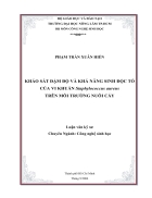 KHẢO SÁT ĐẬM ĐỘ VÀ KHẢ NĂNG SINH ĐỘC TỐ CỦA VI KHUẨN Staphylococcus aureus TRÊN MÔI TRƯỜNG NUÔI CẤY